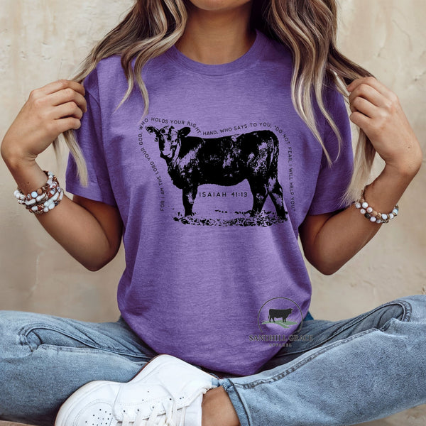 Angus Steer Isaiah 41:13