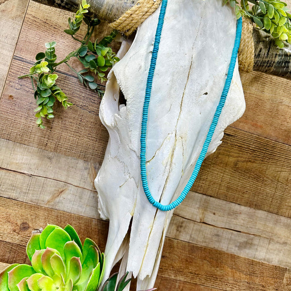 Fort Worth Long Necklace